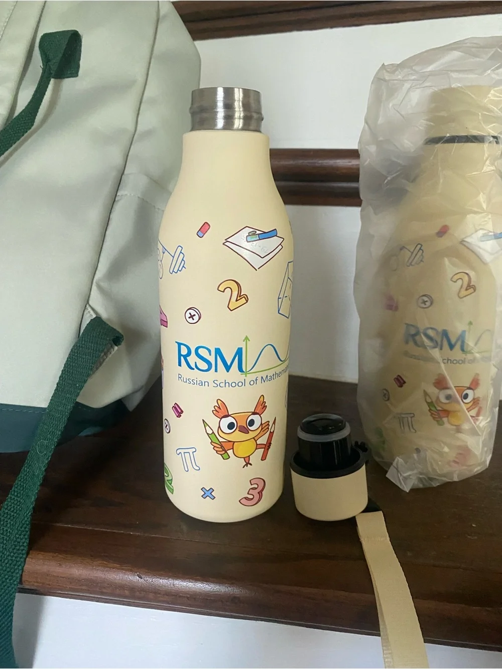 Sage green medium sized school bag two Insulated Stainless Steel Water Bottle
